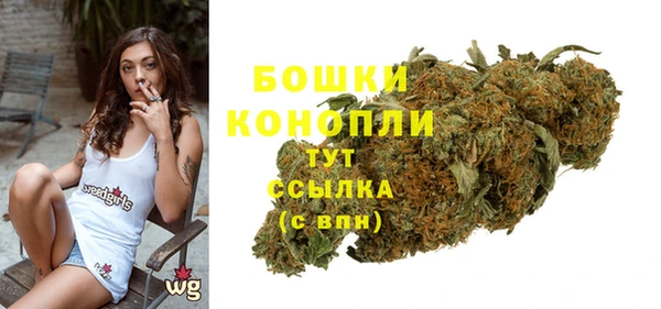 МДПВ Горно-Алтайск