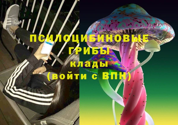 МДПВ Горно-Алтайск