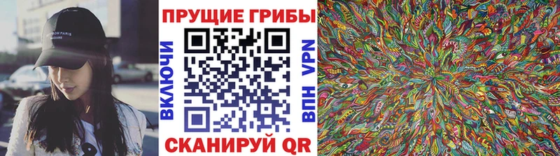 OMG   Олонец  Галлюциногенные грибы Cubensis  что такое  